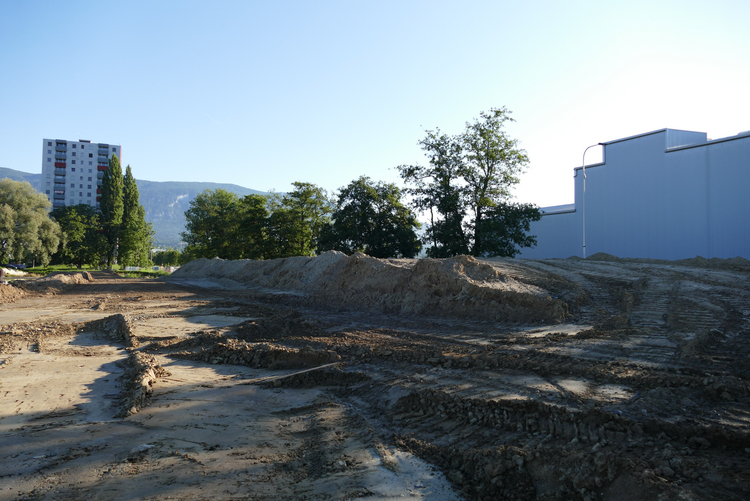 Rekrutierung des östlichen Teils der Deponie Spitelfeld entlang der Brühlgrabenstrasse